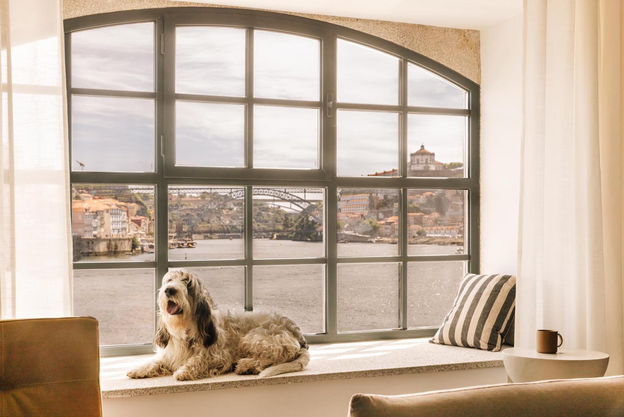 The Rebello Hotel & Spa - Small Luxury Hotels Of The World Vila Nova de Gaia Exterior photo A window with a dog